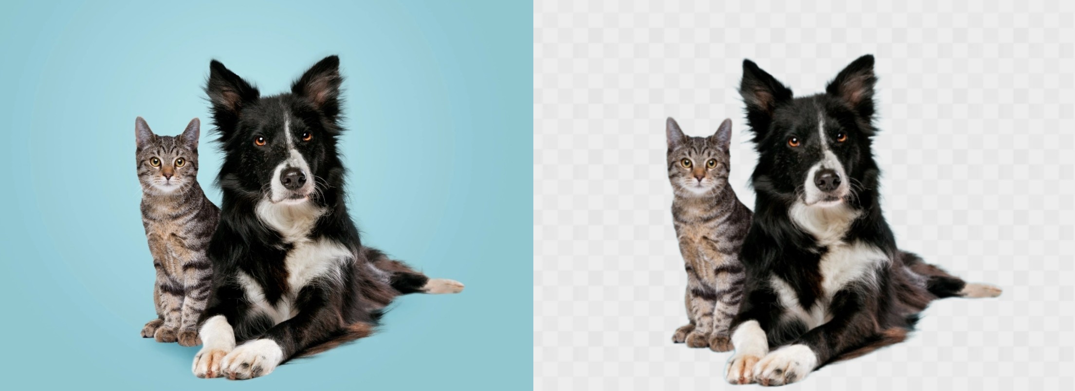 remove background from image with BGremover